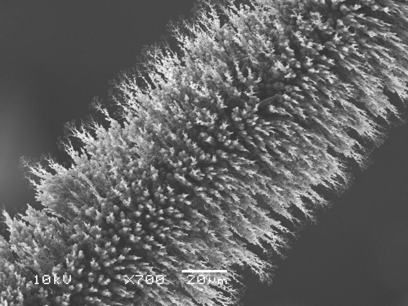 Emitter Wire REM